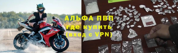 стаф Михайловск