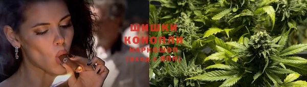 стаф Михайловск